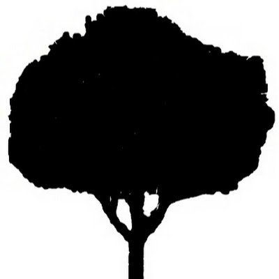 BenoitCsv's profile picture. 