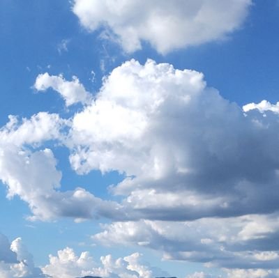 chai_730w's profile picture. 日々、感謝。