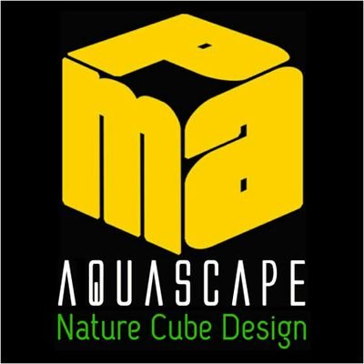 Jasa setting & maintenace:
~ Aquascape.
~ Paludarium.
~ Terrarium.
~ Tank & Cabinet Costume.
~ Produk Pigment Hijau AQUAIR Indonesia.

More info
WA 085314087429