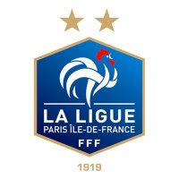 Ligue de Paris Île-de-France de Football(@LPIFF75) 's Twitter Profileg