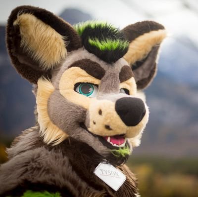 TysonYeen Profile Picture