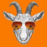 CryptoCabri's profile picture. 🐐 I eat everything  ❤️ | #NFT #DeFi 💰 | Gem hunter 💎 | Always DYOR 📄 | #BTC #BSC #AVAX #Polygon #Terra