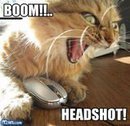 N00BUH1's profile picture. 