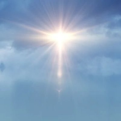 fenelyy's profile picture. 