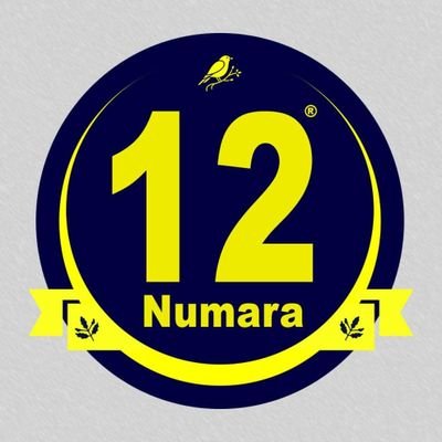 12 Numara Resmi Hesabı / Official Account of 12 Numara ®️ 📷https://t.co/R1oLtuDcfL