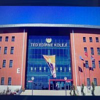 Gülnur Kurt (@glnrkurt) 's Twitter Profile