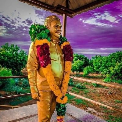 VivekRa02869225's profile picture. I am Indian 🇮🇳