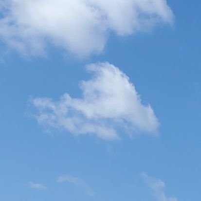 hyhy_trhk's profile picture. 