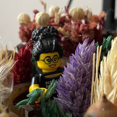 Hayatı sörvayv edemiyorum. // #toycollector #afol