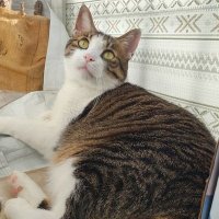 mw_misamisa (@mw_misamisa) 's Twitter Profile Photo mw_misamisa (@mw_misamisa) 's Twitter Profile Photo