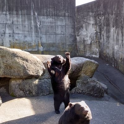 s118_116tjs's profile picture. SixTONESの深い沼にはまりました。
ジェシーよりの箱推しスト担です💎
#スト担さんと繋がりたい
SixTONESについてお喋りしたい！
無言フォロー失礼します。
/'96 東海
通りすがりにいいねしまくりますご了承ください