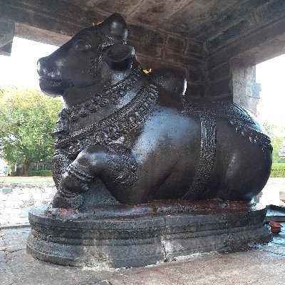 manuvarya's profile picture. Un born...