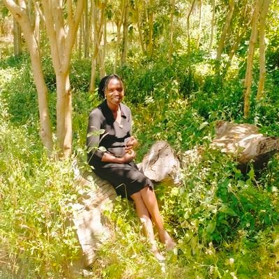 LizLobei's profile picture. Music