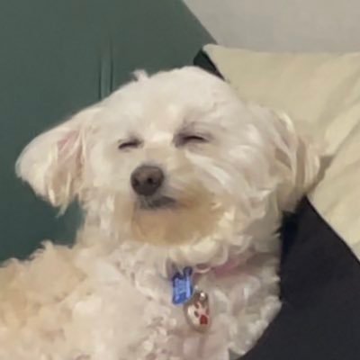 taku_tvxq's profile picture. 