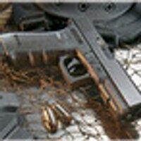The Gun Trainer (@firearmstrainer) 's Twitter Profile