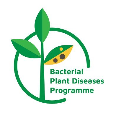 Bacterial Plant Diseases Programme 2020-24さんのプロフィール画像