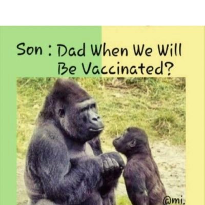 Lambdavariant1's profile picture. 