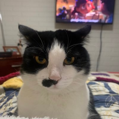 Melina_b's profile picture. How you doin'? Me gustan los completos de Talca y las plantitas