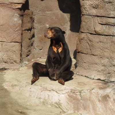 rhi_et's profile picture. 11.09〜ダイエット開始。