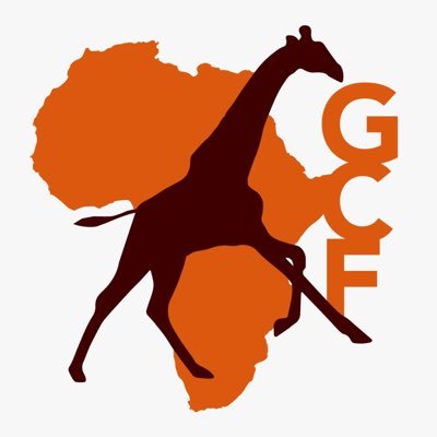 Giraffe Conservation Foundation is dedicated to a sustainable future for all giraffe populations in the wild. Join the Cause! #worldgiraffeday #giraffe