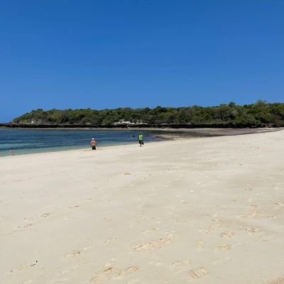 ronalynoberio's profile picture. 