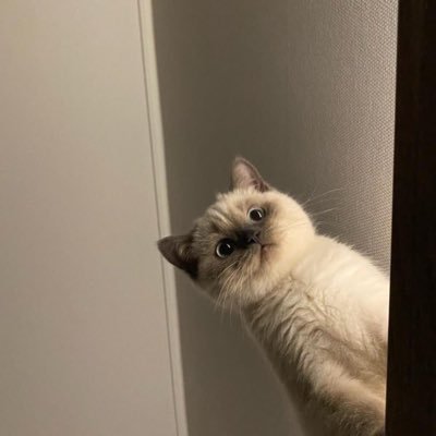 grezmakk Profile Picture