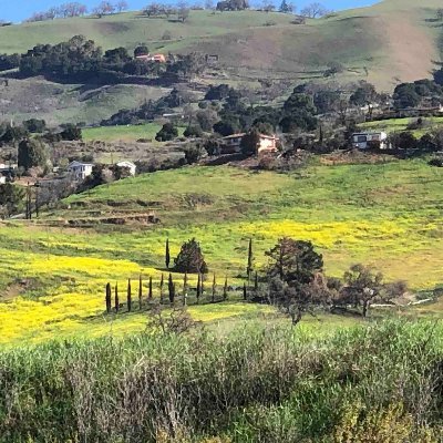 pmnkumar's profile picture. 