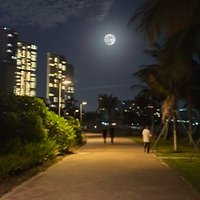 oldriver (@oldriver888) 's Twitter Profile