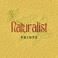 Naturalist Prints(@NaturalistPrint) 's Twitter Profile Photo