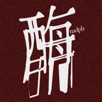 NADPH辅酶 (@nadph7919) 's Twitter Profile Photo