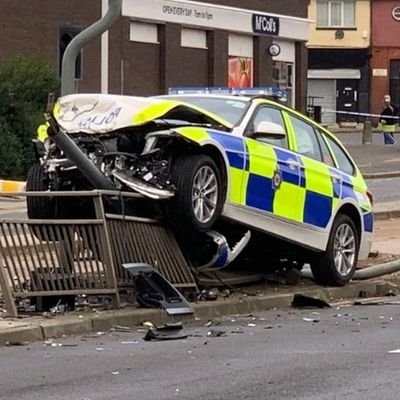 greatwhitelark's profile picture. 