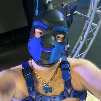 Pup Teddy : 🏳️‍🌈 : 36 : He/Him : N. Notts / S. Yorks. 🇬🇧 : have handler : kinky pup : NSFW : 🔞 : always happy for DM : Telegram Pup_Teddy