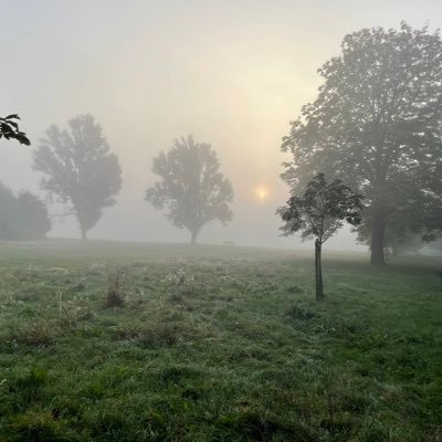 hro15hro's profile picture. Sales