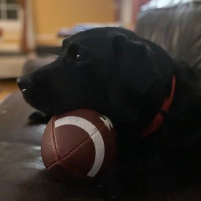 Amy DeLong 🟧 Profile