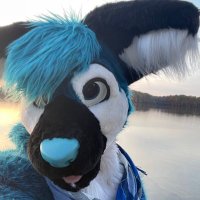 Record Da Fox(@datblufox) 's Twitter Profile Photo