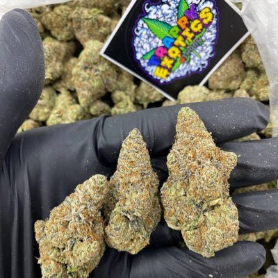 Serious clients only (Meth, Heroine, Crack, Coca, Hash, OG Kush, Speed, and so much more……………..)