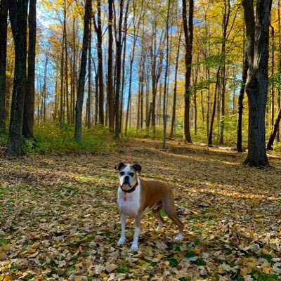 wichmanr's profile picture. 