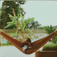 Arturito (@dalcannabis) 's Twitter Profile