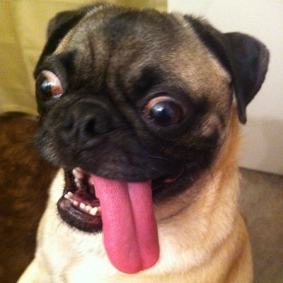 HuttyTime's profile picture. Hate Hash Tags.  They're pound signs to me.