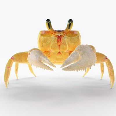 systemic_whisk's profile picture. Neuroscientist, Fisho, DJ & Investor. $BTC  $MSTR $TSLA $SOL