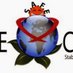 SAFE Campaign (@safecampaign1) Twitter profile photo SAFE Campaign (@safecampaign1) Twitter profile photo