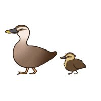 かるがもサイクリング@chari.and_oya.co (@chariand_oyaco) 's Twitter Profile
