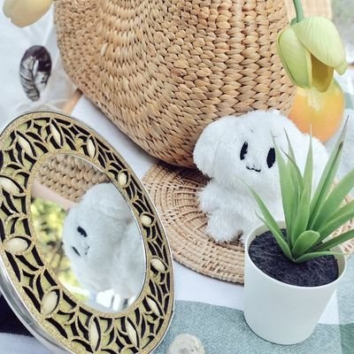 💙 Maltese​ JU &​U ~ 💙さんのプロフィール画像