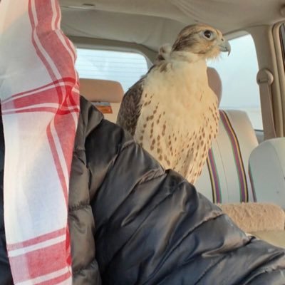 sgh_206's profile picture. أنا خوف العشب الذي على وشك أن يجزوه