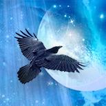 RavenPath (@ravenpathherbal) 's Twitter Profile