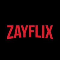 zayflix(@zayflix_) 's Twitter Profile Photo