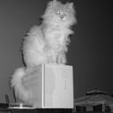 Robert Lowers - @mrlowers - Twitter