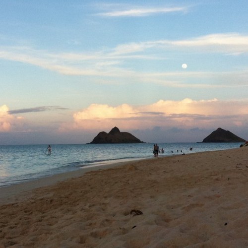 craftygirlie's profile picture. artist, wife, mother, disciple