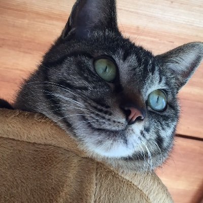 EQw6lhl's profile picture. 