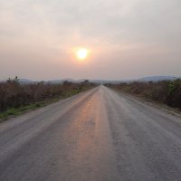 Dirk SHAKA (@dirkshaka) 's Twitter Profile